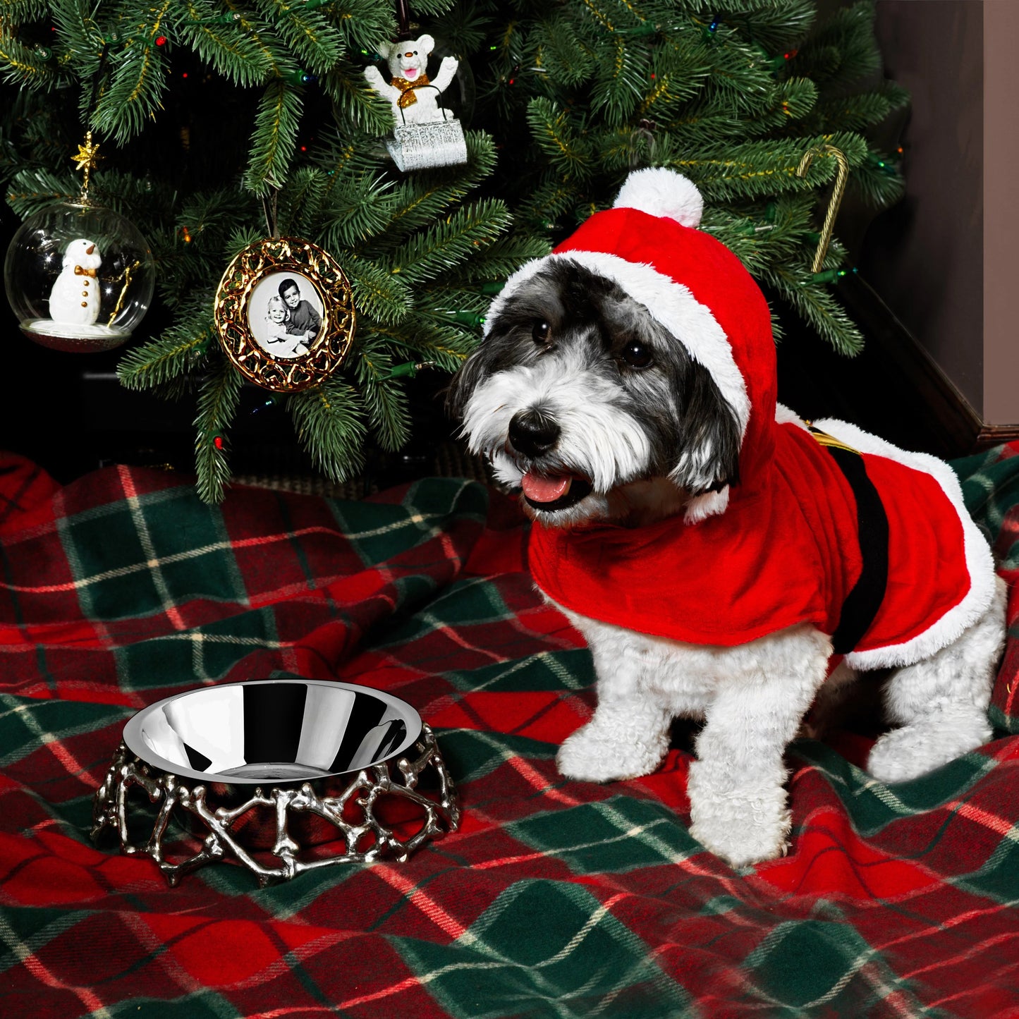 Teddy on Sleigh Ornament